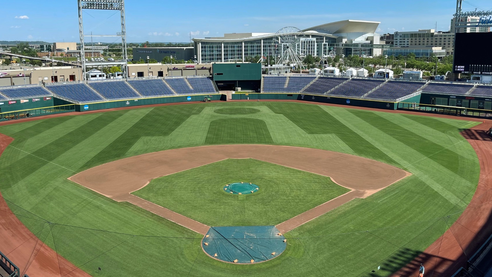 guide to the 2024 college world series